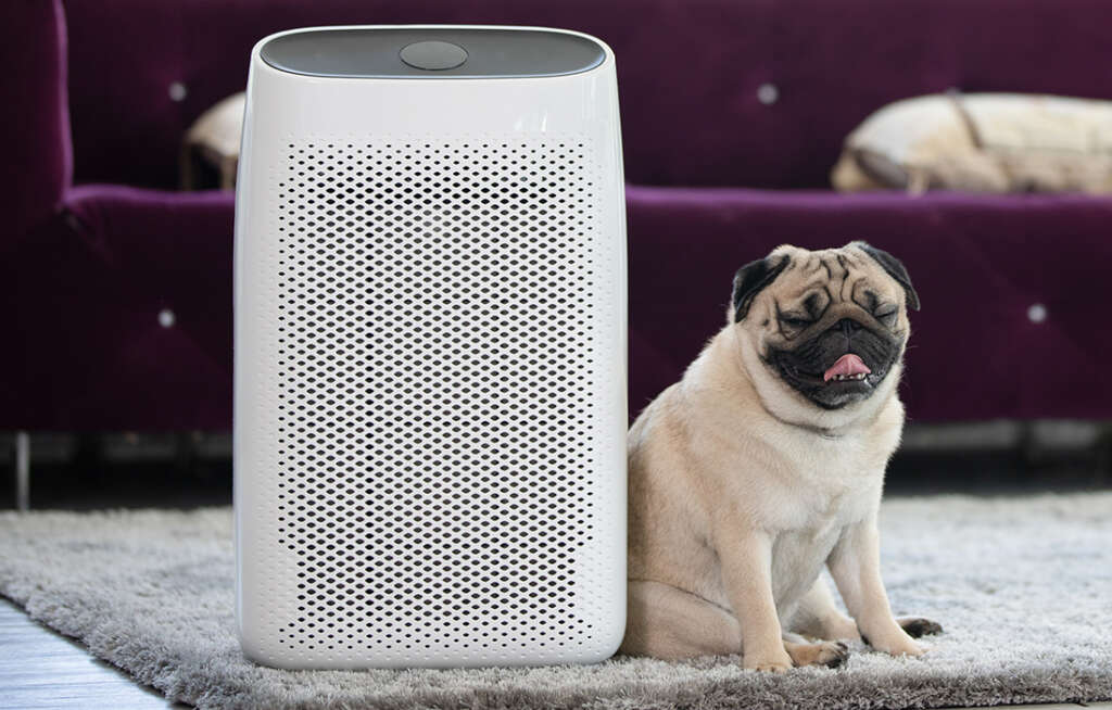 Room air purifiers are an inexpensive and effective way to reduce allergens in your home.