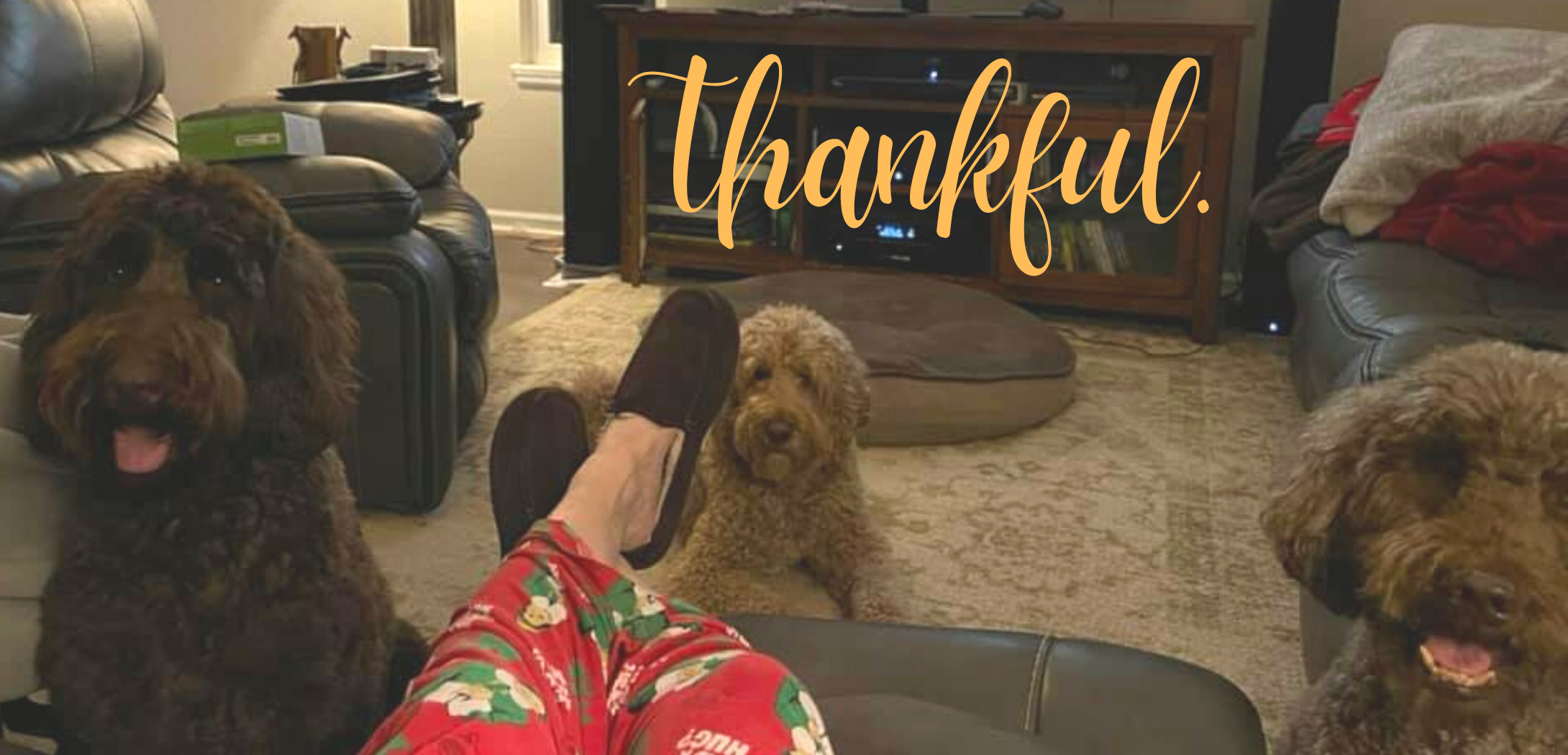Mark Harrill, President of All American Heating, shares his thoughts on gratitude this Thanksgiving.