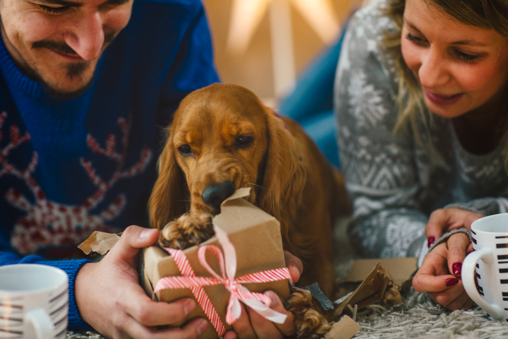 This holiday, put your money where you mouth - and nose - is. Give the gift of green living with a Green Home Check-up from All American Heating. 